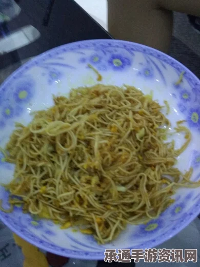 牧野之歌，黄金炒面制作材料与技巧全面解析
