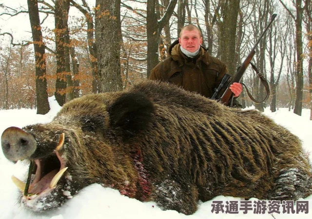 俄罗斯猎人捕获巨型野猪，技巧与经验分享