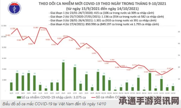 越南岘港移民控制政策调整，应对移民潮的挑战与策略
