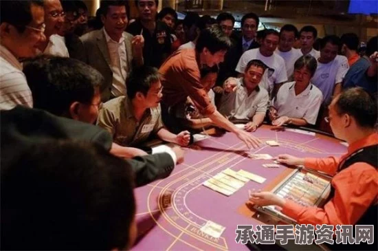 外媒揭秘，越南低调赌场吸引中国富豪的秘密策略与技巧——每周包机背后的故事与图片解读