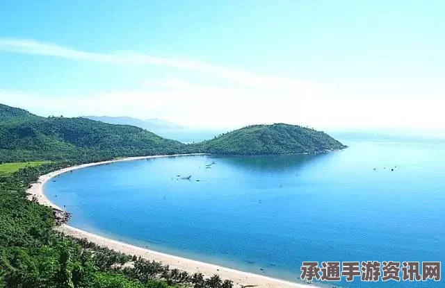 越南岘港应对移民涌入，策略调整与技巧方法