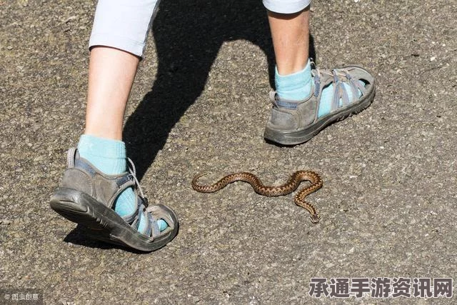 澳大利亚奇遇记，少女跑步意外与毒蛇狭路相逢，虎蛇藏身鞋内揭秘与应对指南