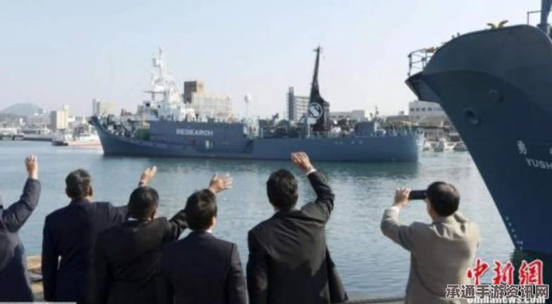 日本南极海域捕鲸行动，方法与挑战解析