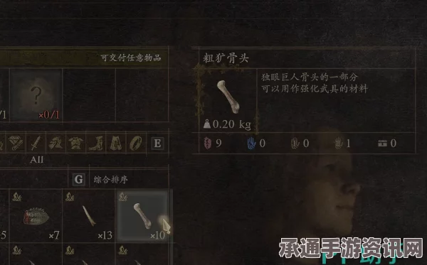 龙之信条2贵族宅邸少年任务攻略详解与技巧分享