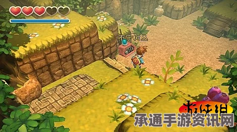 星之海丛林之路题库4获取攻略及技巧详解