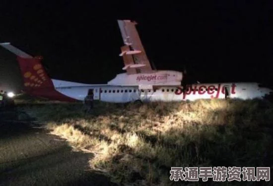 印度客机紧急降落遭遇野猪突袭，机师高超技巧拯救数十人