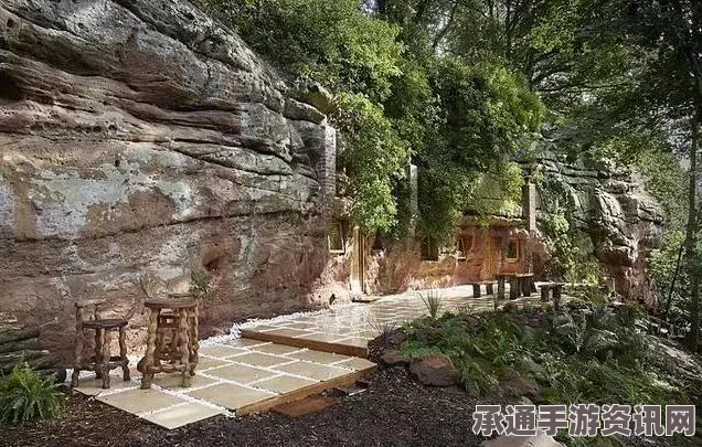 美国烟囱行窃悲剧，意外遭遇与应对技巧探讨