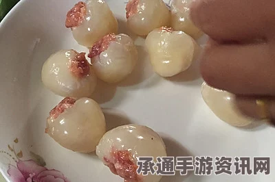 牧野之歌，白银荔枝酿肉的制作秘诀与技巧