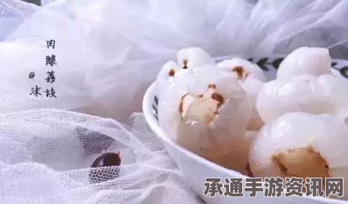 牧野之歌，白银荔枝酿肉的制作秘诀与技巧