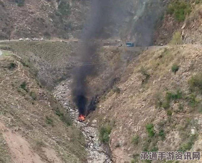 也门亚丁市市长遇袭身亡事件，IS组织责任分析与应对技巧探讨