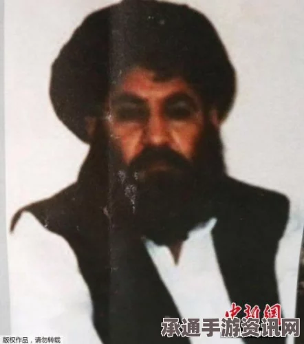快讯，阿富汗塔利班领导人曼苏尔逝世—相关技巧方法与问答环节