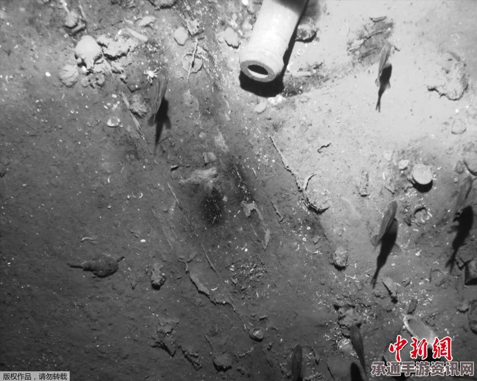 揭秘哥伦比亚发现三百年前沉船，探寻宝藏的技巧与方法