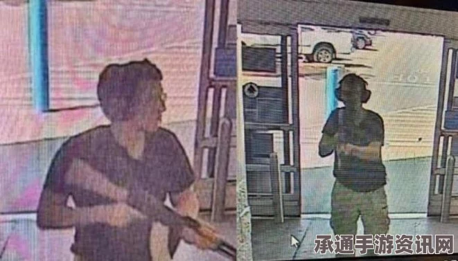 加州枪击案女枪手宣称效忠IS背后的故事，深度探讨与揭秘