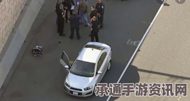 加州枪击案现场曝光，疑犯车内发现大量枪支—直击交火现场与应对策略探讨