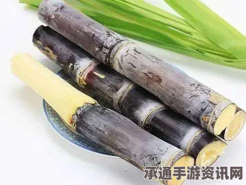 牧野之歌，甘蔗煲汤的精选材料、烹饪技巧与制作全攻略