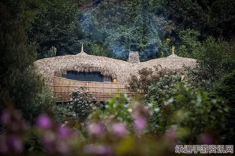 霍比特式草屋独特建筑艺术，跨越山海的建设与技巧探究