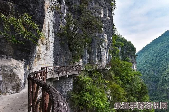 天天酷跑坐骑排行及地心战熊技巧详解，2017年攻略指南