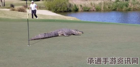 美两大高尔夫巨鳄球场激战揭秘，技巧与策略深度解析（附图详解）