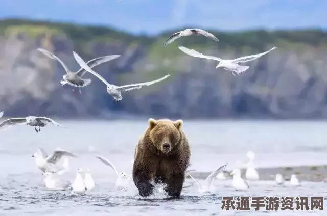 阿拉斯加首府新市长家中离世原因揭秘，自然原因引发的深度解析与反思