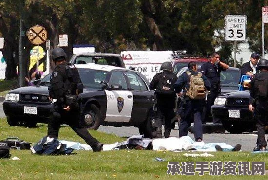 揭秘加州枪击案，两名枪手身份详解与应对技巧探讨