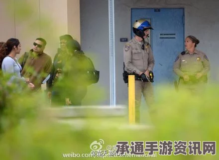 加州枪击案深度解析，两枪手被击毙，搜寻行动持续，案件分析与应对技巧探讨