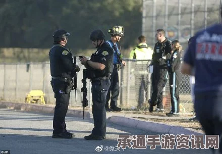 加州枪击案，两枪手被击毙，搜寻仍在继续—案件分析与应对技巧探讨