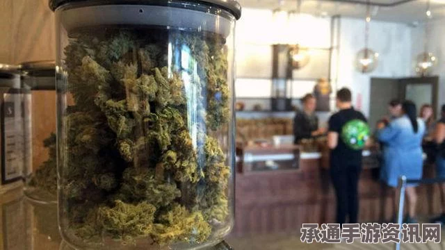 奥巴马发声谴责加州枪击案，呼吁社会重视枪支管控，强调其它地方不会成为下一个悲剧