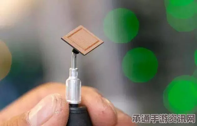 美国加州圣贝纳迪诺枪击事件细节揭秘，嫌犯装备防弹背心，事件应对技巧方法详解