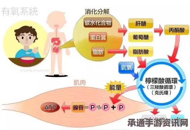 七日杀原子迷糖果特性深度解析与实用技巧探讨