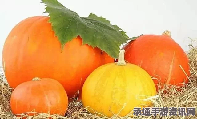 七日杀南瓜作用详解及获取方法与技巧攻略问答环节
