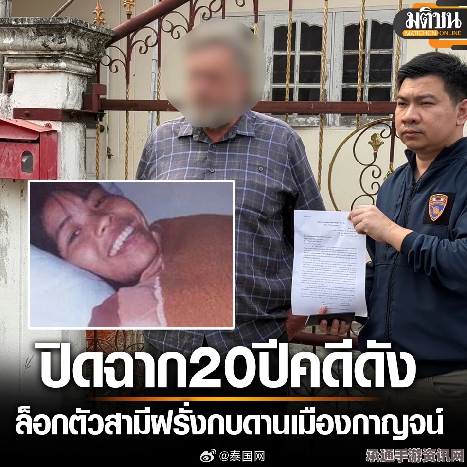 天网追踪下的悲剧，通缉犯客死泰国案件解析与应对技巧探讨