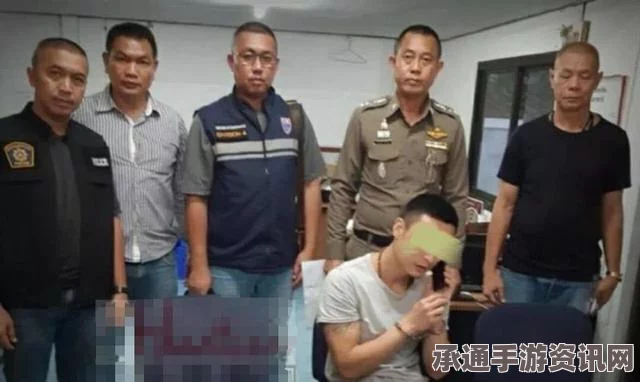 天网追踪下的悲剧，通缉犯客死泰国案件解析与应对技巧探讨