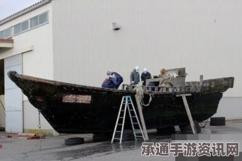 幽灵船载腐尸漂至日本，最新消息与解析