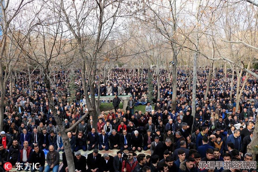 俄罗斯扩大对土耳其制裁，乌克兰向土耳其抛出橄榄枝，局势分析与应对技巧