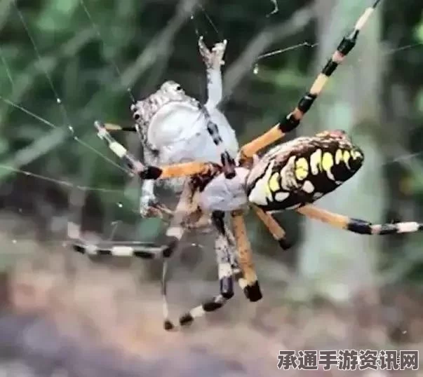 暗黑破坏神4s5，毒素灌注时间的掌握与技巧分享