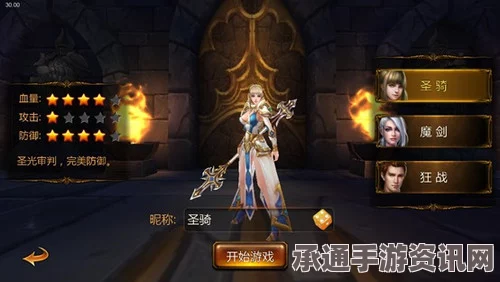 圣兽之王黑骑士职业深度解析与实战技巧指南