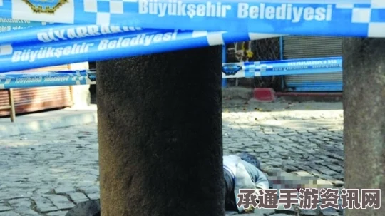 土耳其律师受访镜头前遭枪击事件细节曝光，头部中枪丧命—案件解析与防范技巧