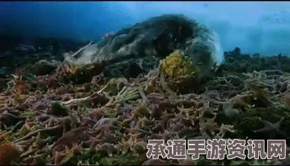 全球多地示威游行呼吁应对全球变暖，气候大会前夕掀起行动热潮