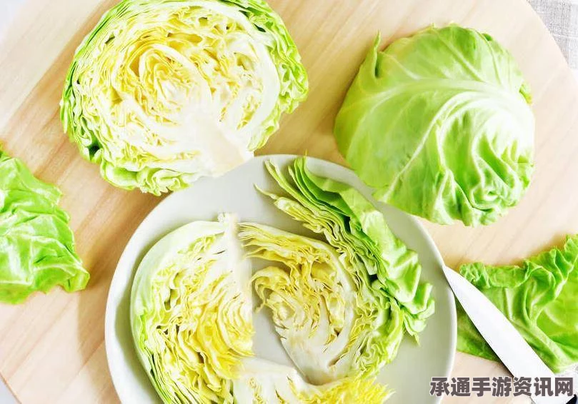 牧野之歌黄金卷心菜面的制作秘诀与技巧