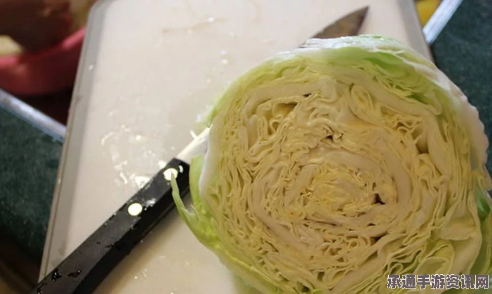 牧野之歌，白银卷心菜面的制作奥秘与技巧探究