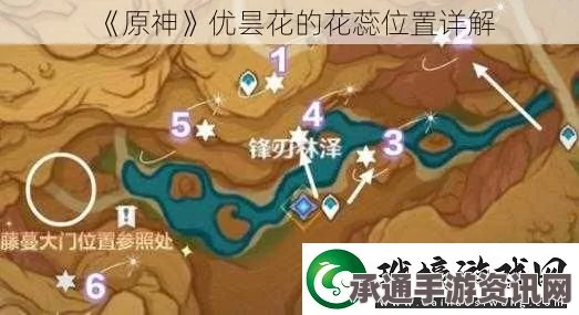 原神，忧昙花花蕊位置详解及寻找攻略