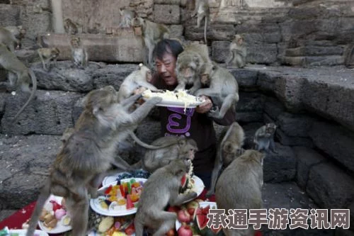 泰国居民以蔬果盛宴款待猴子，人与自然和谐共生的美好瞬间（图）