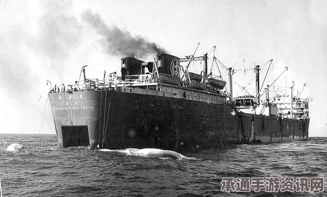 揭秘日本捕鲸历史，商业捕鲸长达400余年