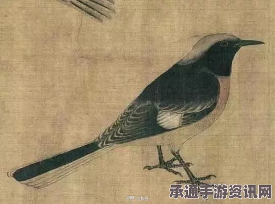 故宫珍宝揭秘，写生珍禽图中的鸟与绘画技巧解读