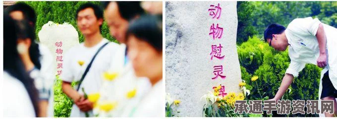 日本对海外慰灵碑遭涂鸦事件表达不满，政府需保持高度警惕—关于应对海外文化尊重问题的技巧与方法探讨