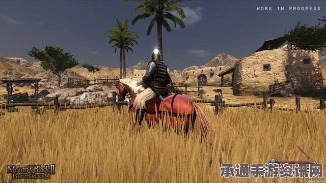 深度解析骑马与砍杀秘籍与游戏技巧掌握指南