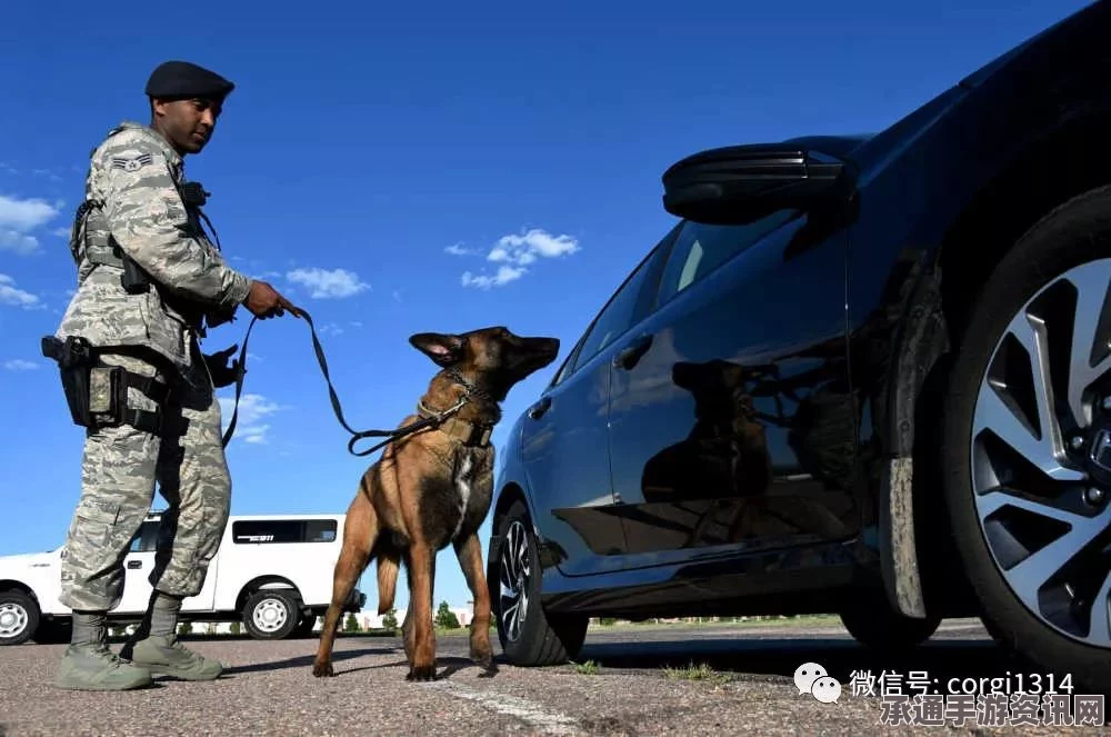 美国护卫犬敏锐洞察喵星人车道冒险，神奇表现揭秘