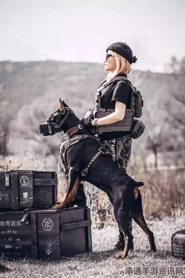 美国护卫犬的神奇表现，敏锐捕捉喵星人的车道冒险行为