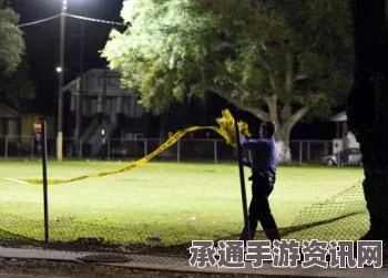 快讯，美国新奥尔良公园枪击事件，伤者至少十人—事件解析与应对技巧