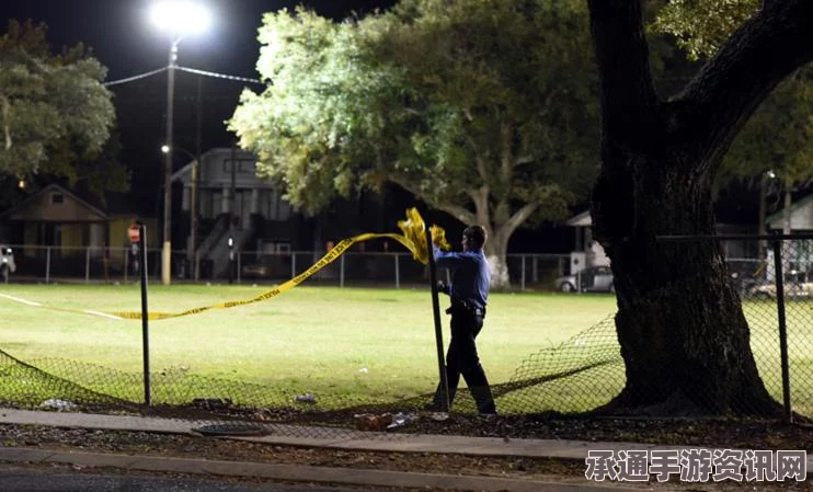 快讯，美国新奥尔良公园枪击事件，伤者至少十人—事件解析与应对技巧